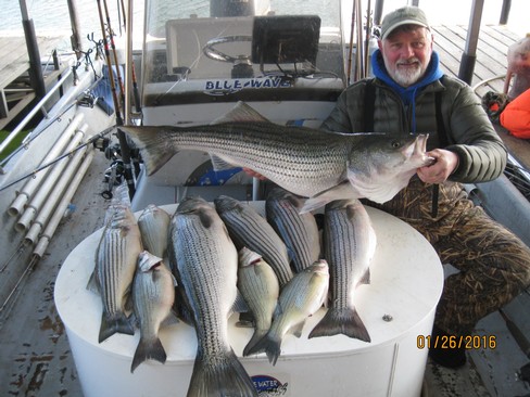 Nice Striped Bass